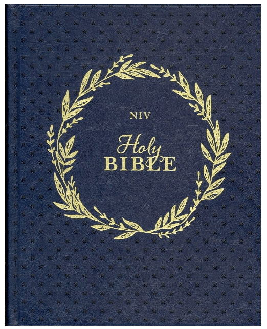 Our Family Story Bible, Exclusive Edition (NIV) | Fruit of the Vine Boutique 