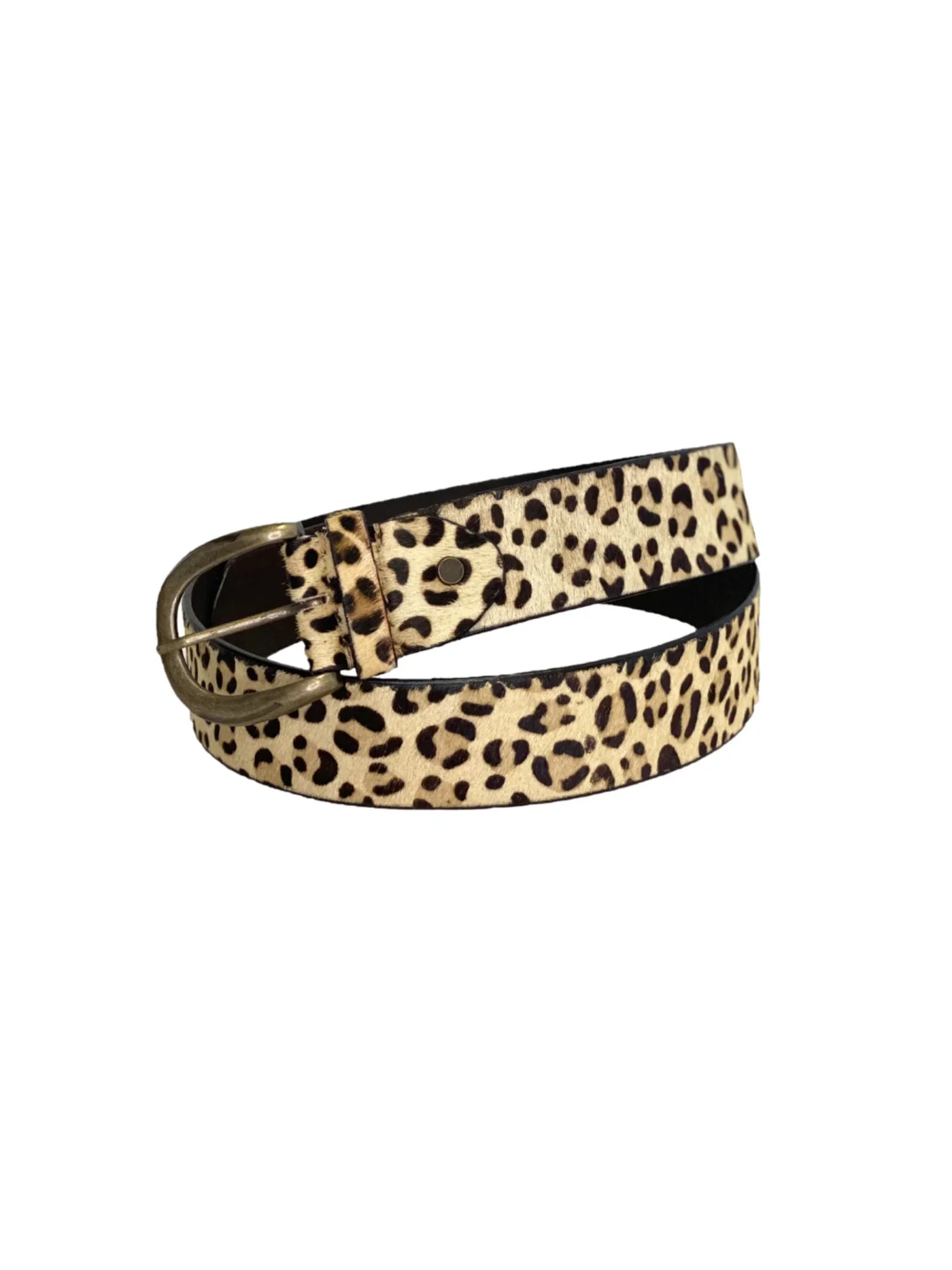 Small cheetah print belt with gold buckle on white background.