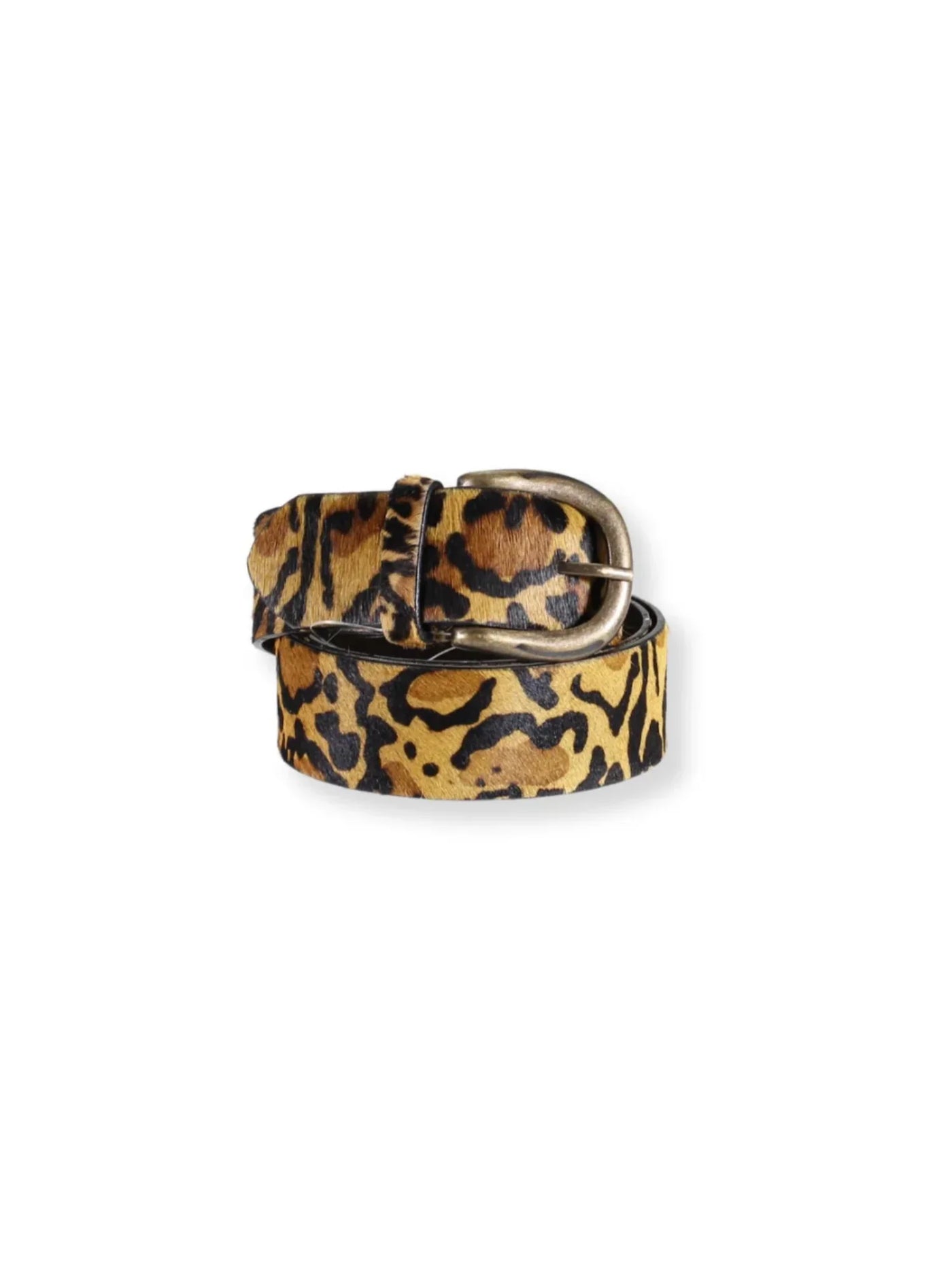 Jaguar print belt with a gold buckle on a white background.