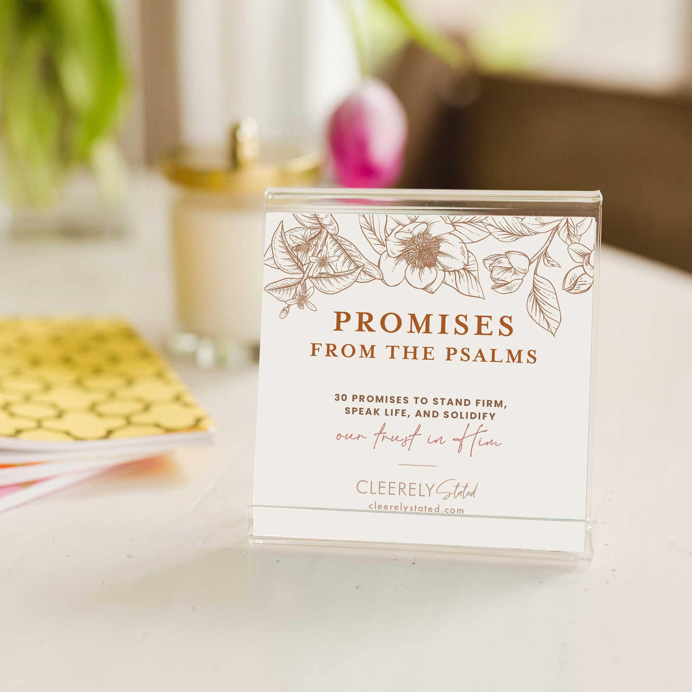 Promises from the Psalms Cards  with Stand | Fruit of the Vine Boutique 
