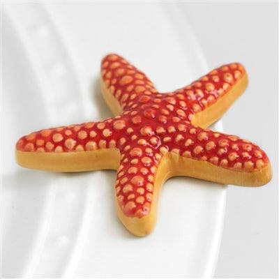 Close up of sea star mini