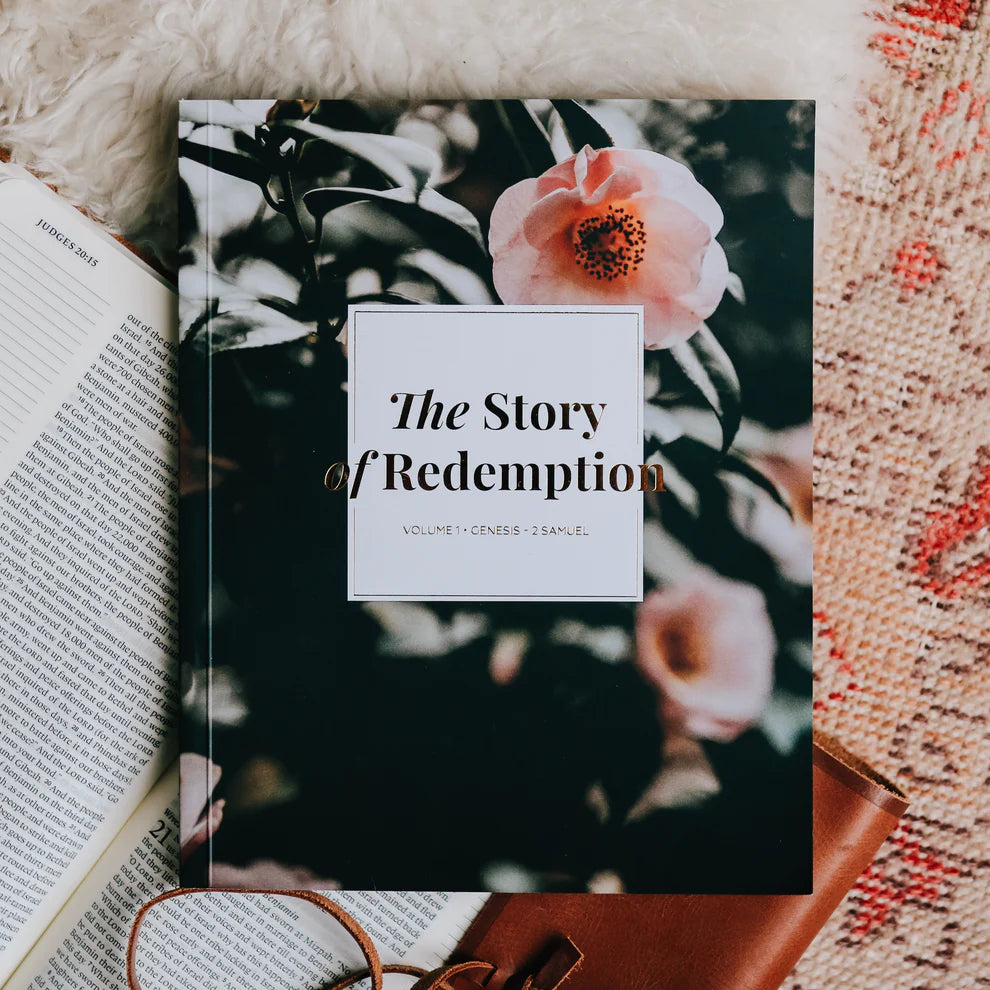The story of redemption women's bible study cover page